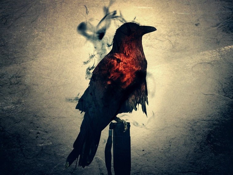 Чёрный ворон с красными глазами