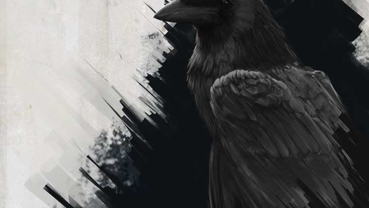 Вороны мистические птицы