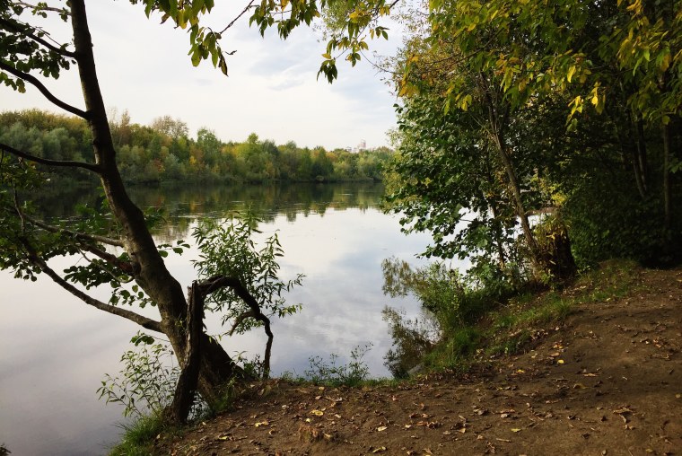 Мещерский лес парк