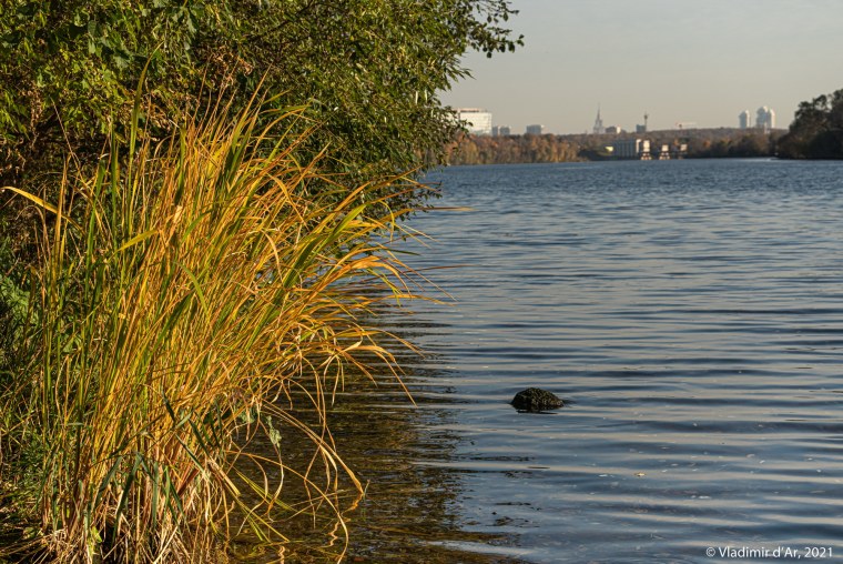 Зима в Подмосковье Истра