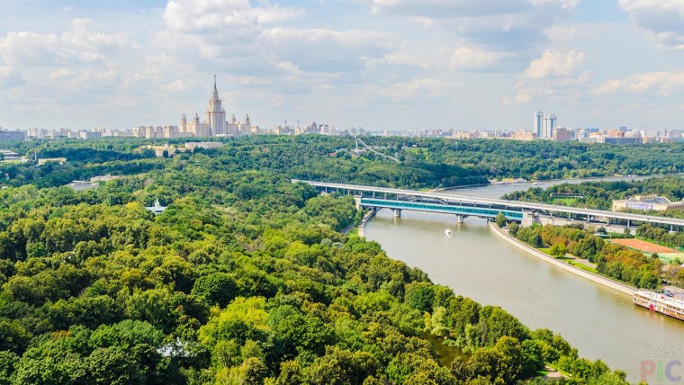 Кузьминский лесопарк природа