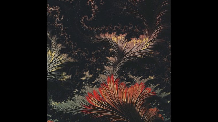 Водоросли абстракция