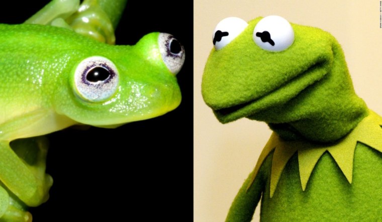 Кермит Froggy aesthetic