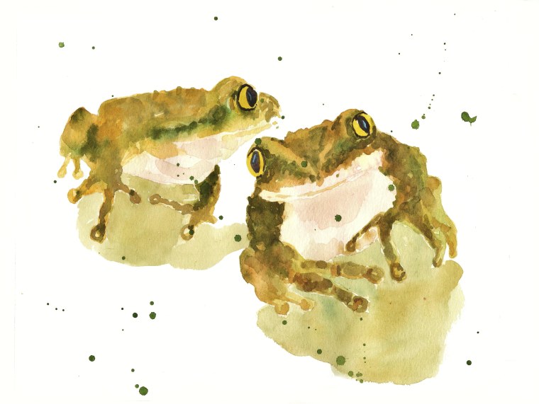 Goblincore Эстетика лягушки