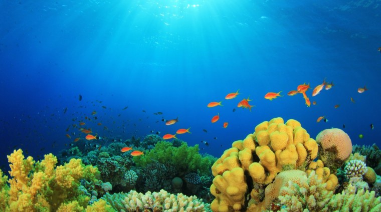 Морской мир