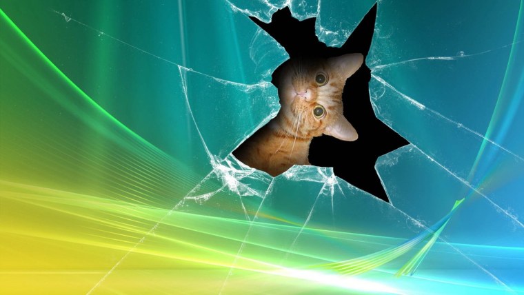 Красивые котята