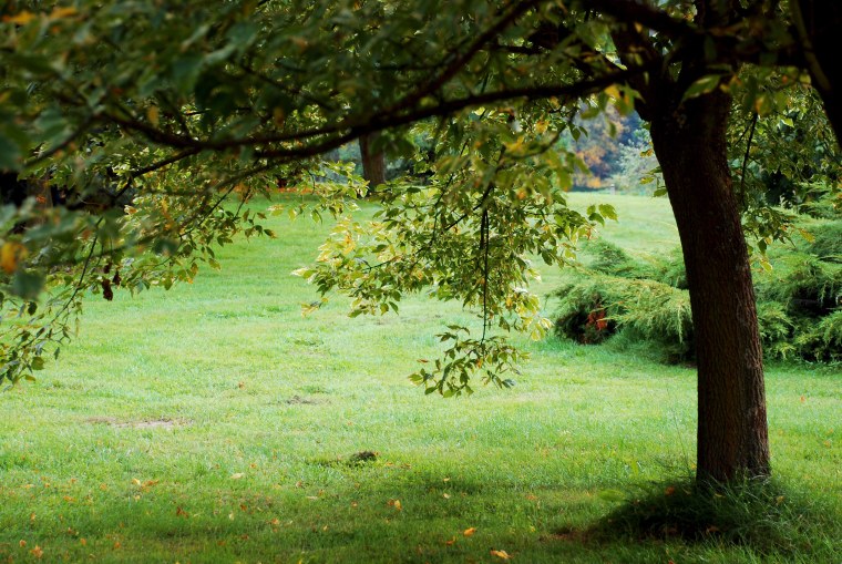 Фон для шапки