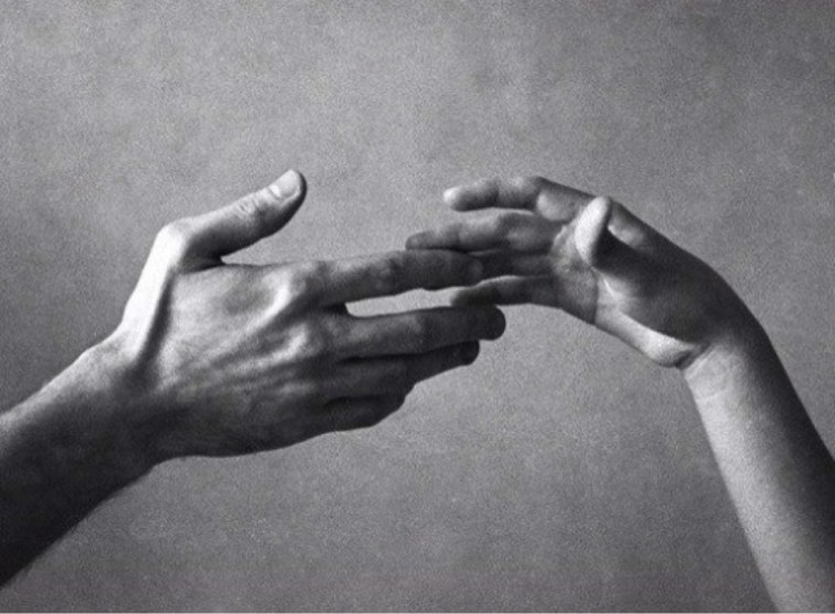 Эстетика Оук