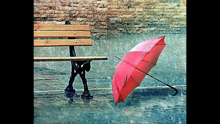 Зонт в луже