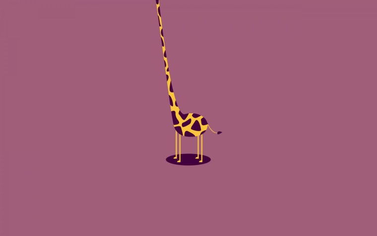 Минимализм животные