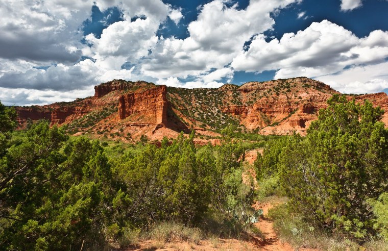 Пустыня Аризона