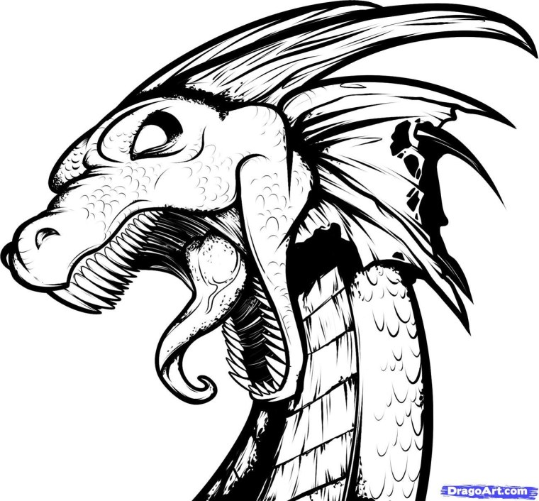 Дракон рисунок