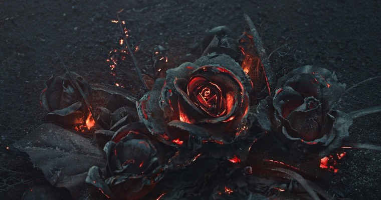 Дохлый цветок