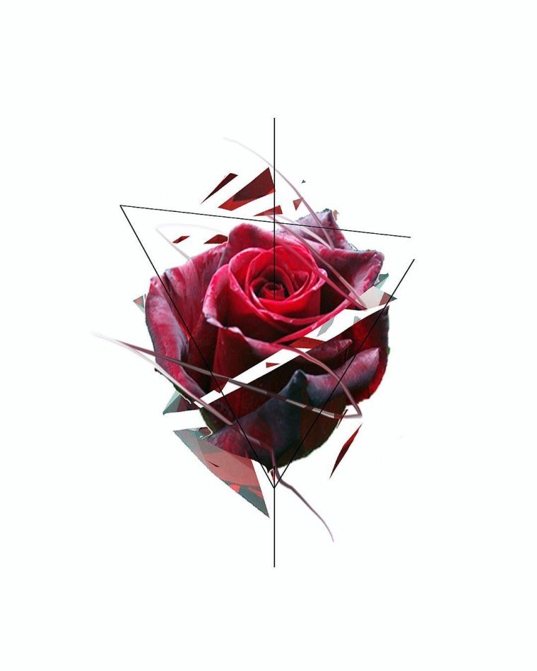 Красная роза в руке Эстетика