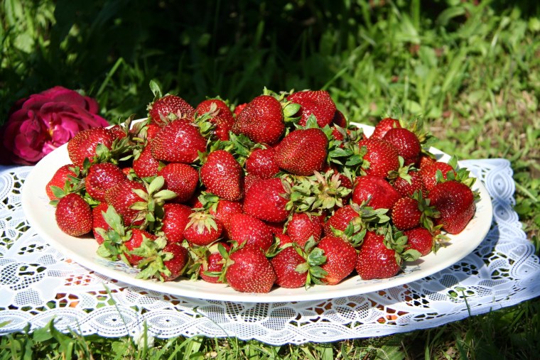 Четкая клубника