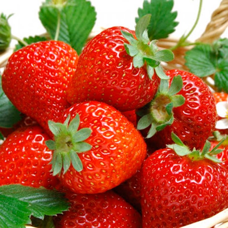 Клубника f1 Сластена