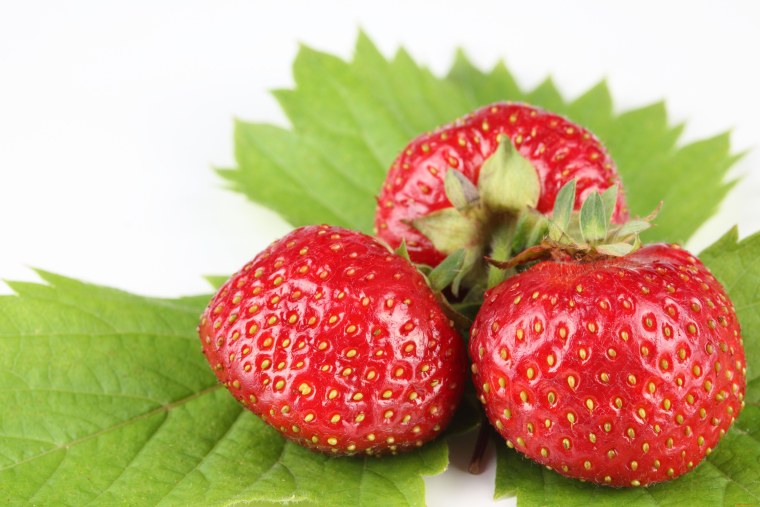 Вероника клубника