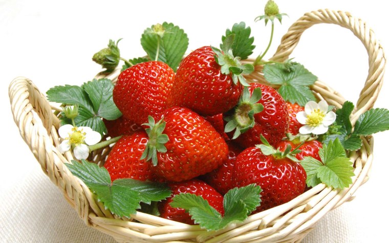 Fragaria клубника