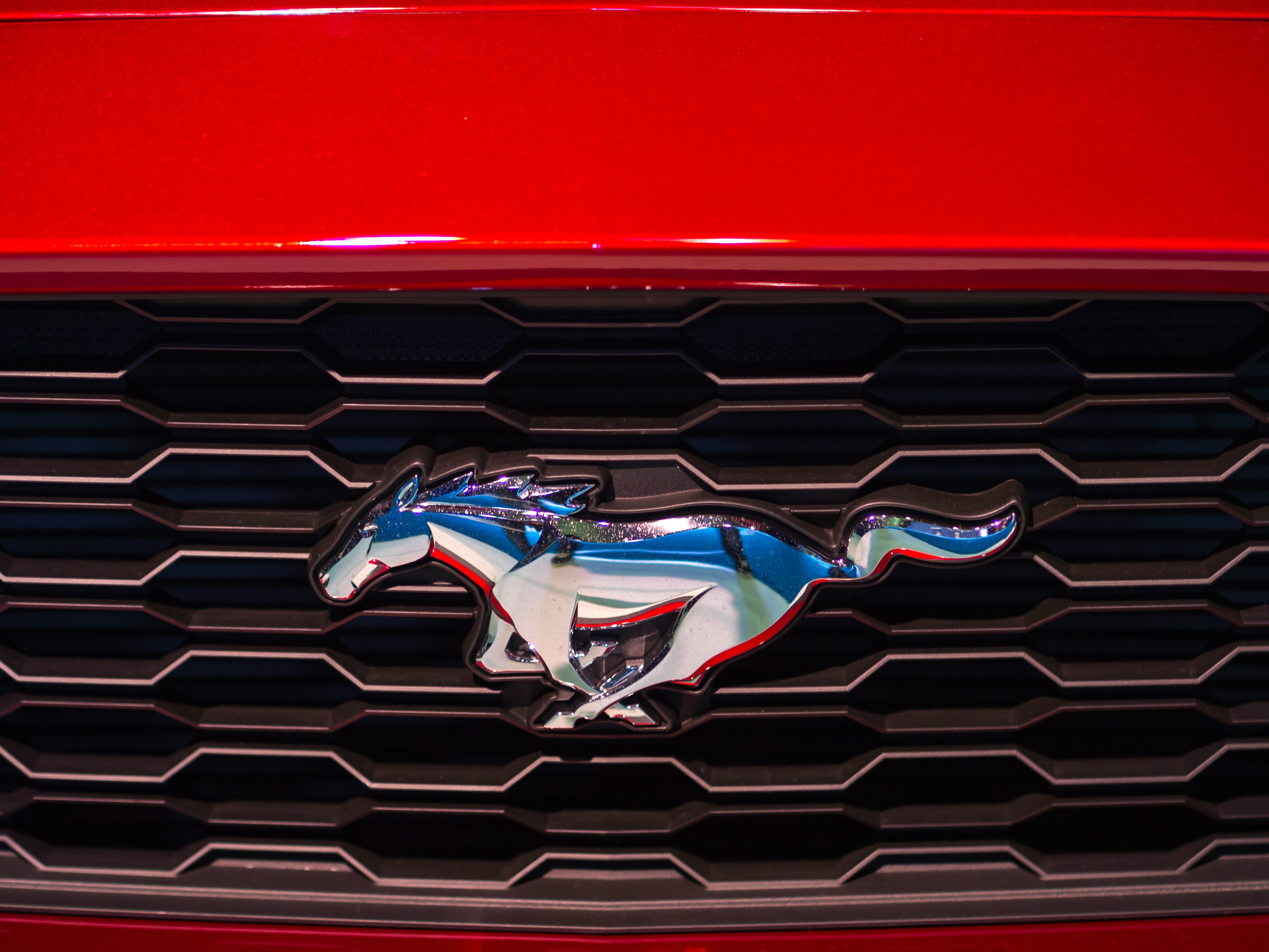 Знак мустанга. Ford Mustang марка. Значок машины Форд Мустанг. Форд Мустанг Shield.