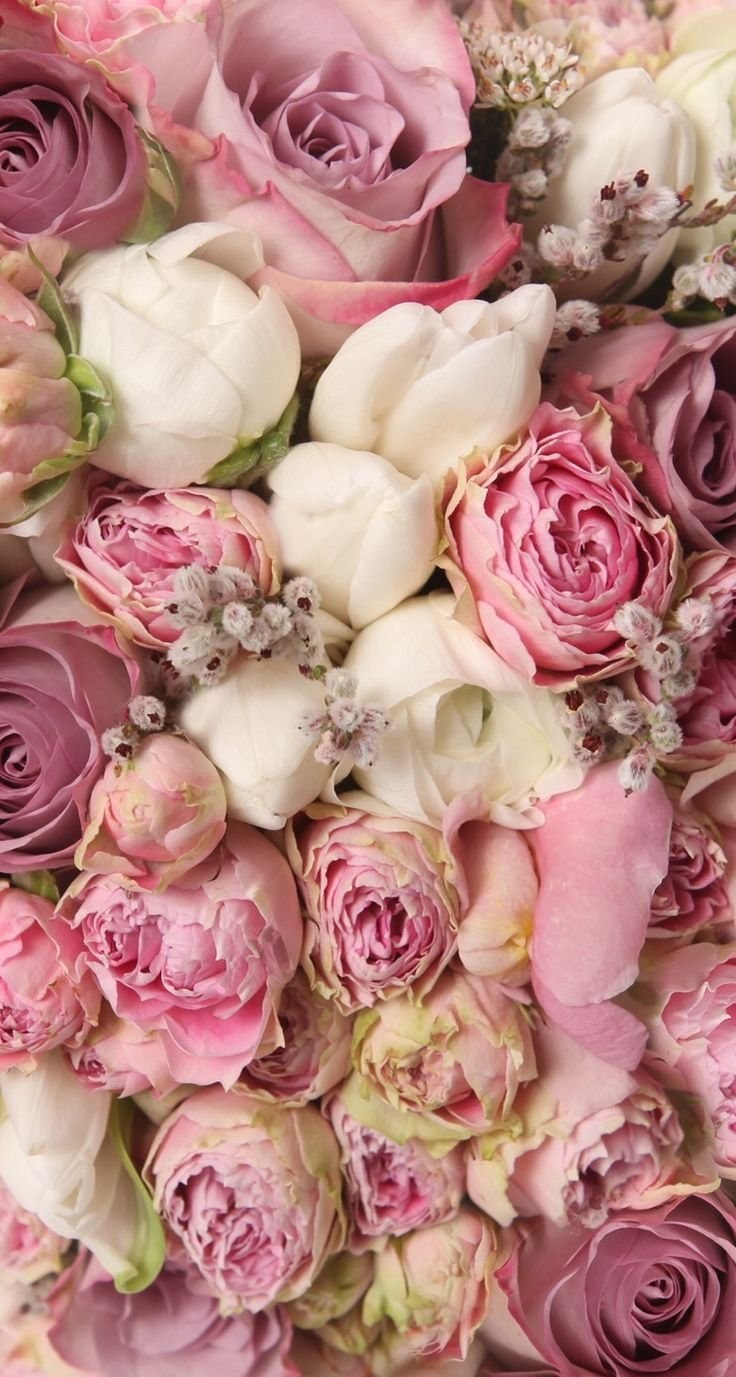 Пионы на айфон