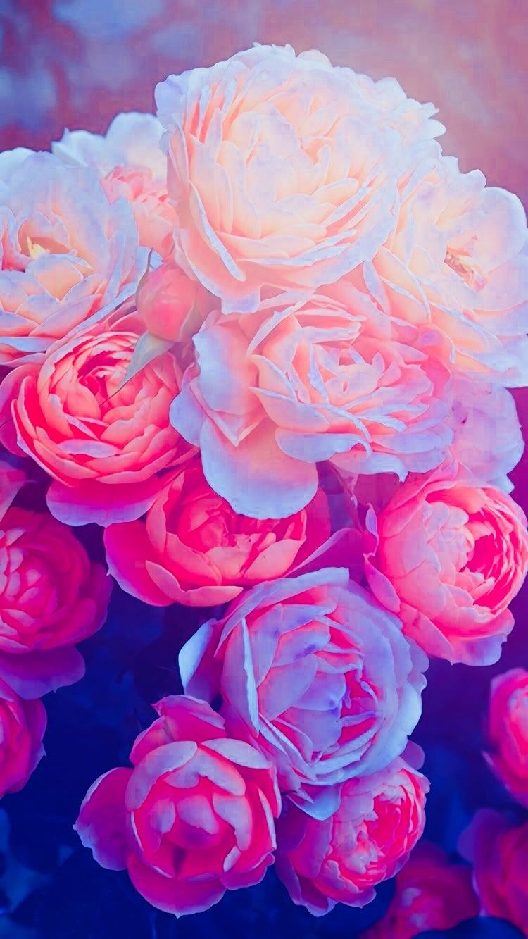 Фон с цветами