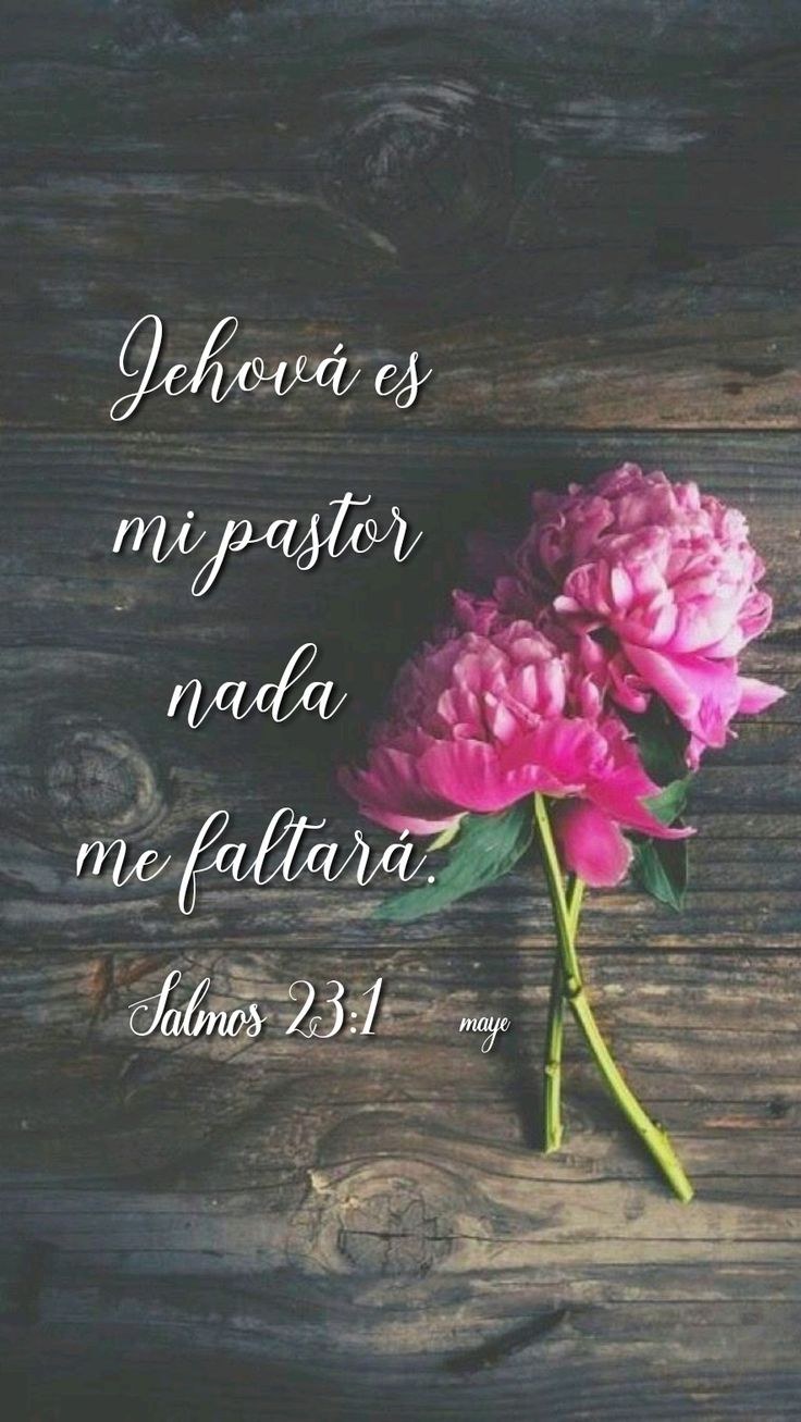 Цветы на темном фоне