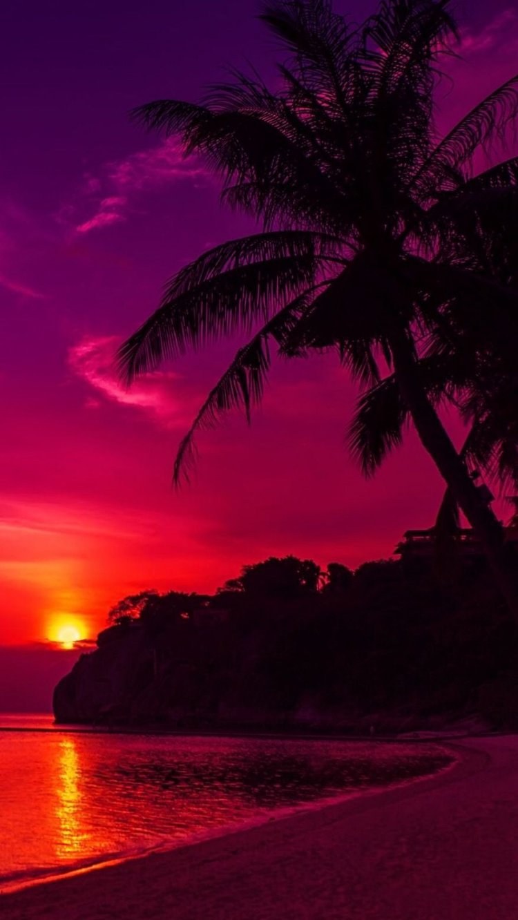 Красивые обои закат