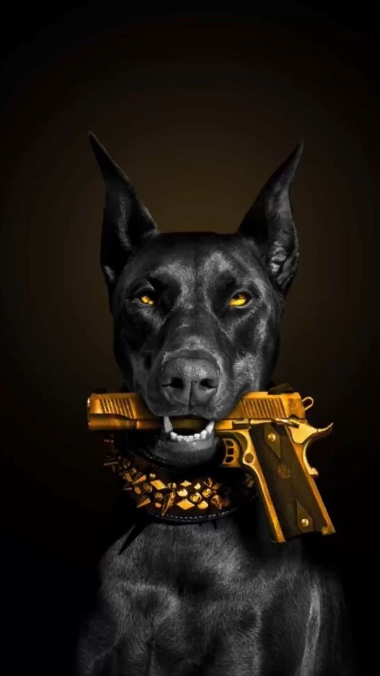 Доберман с пистолетом в зубах