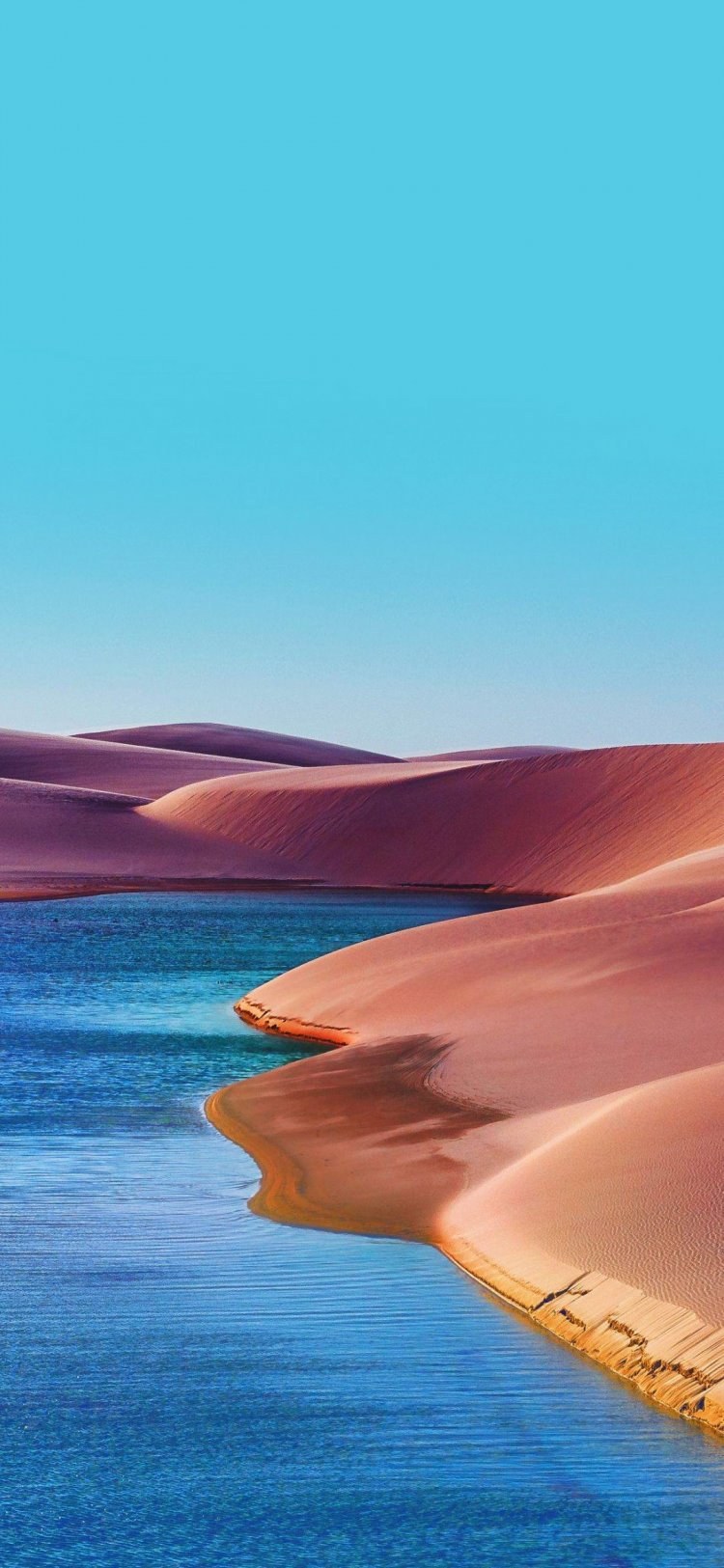 Multi Pack Samsung Galaxy a50