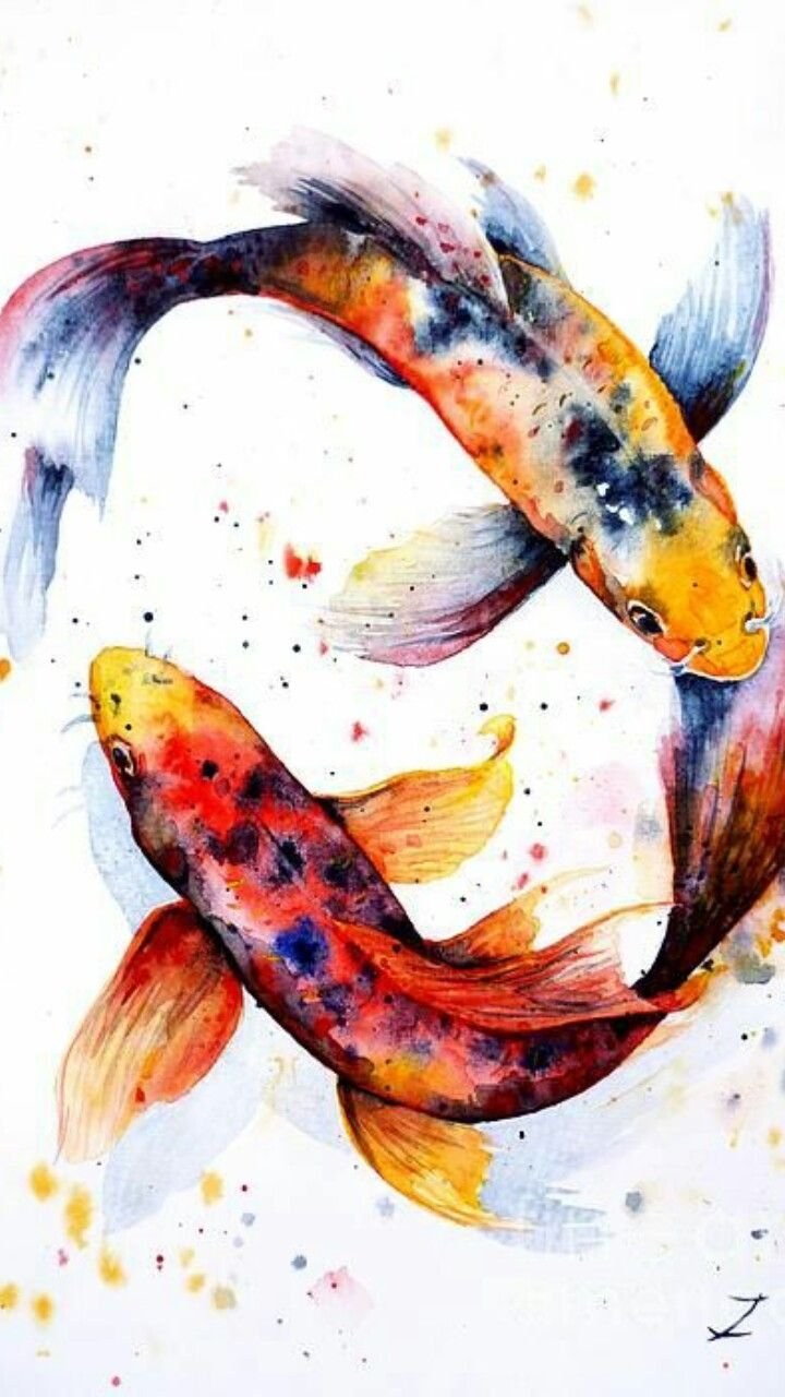 Карпы кои акварель