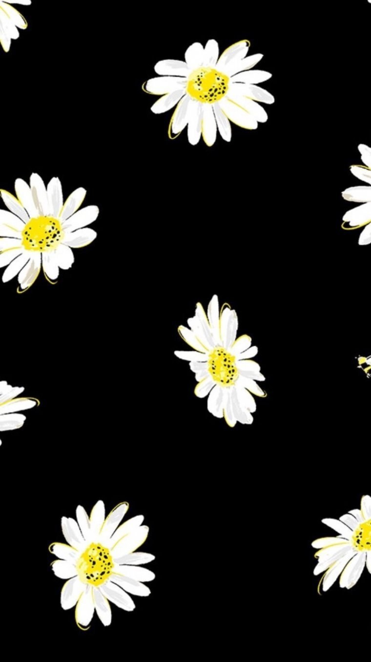 Ромашки на темном фоне