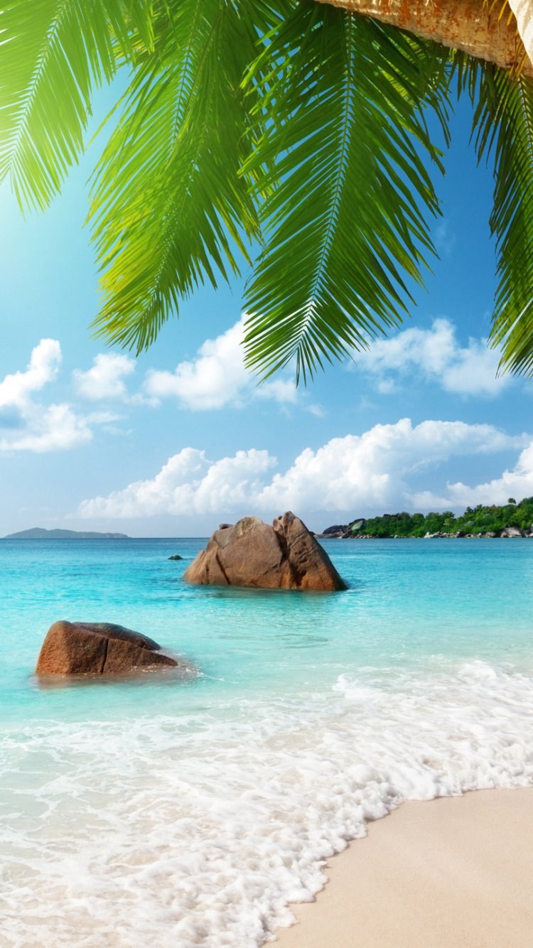 Океан на айфон