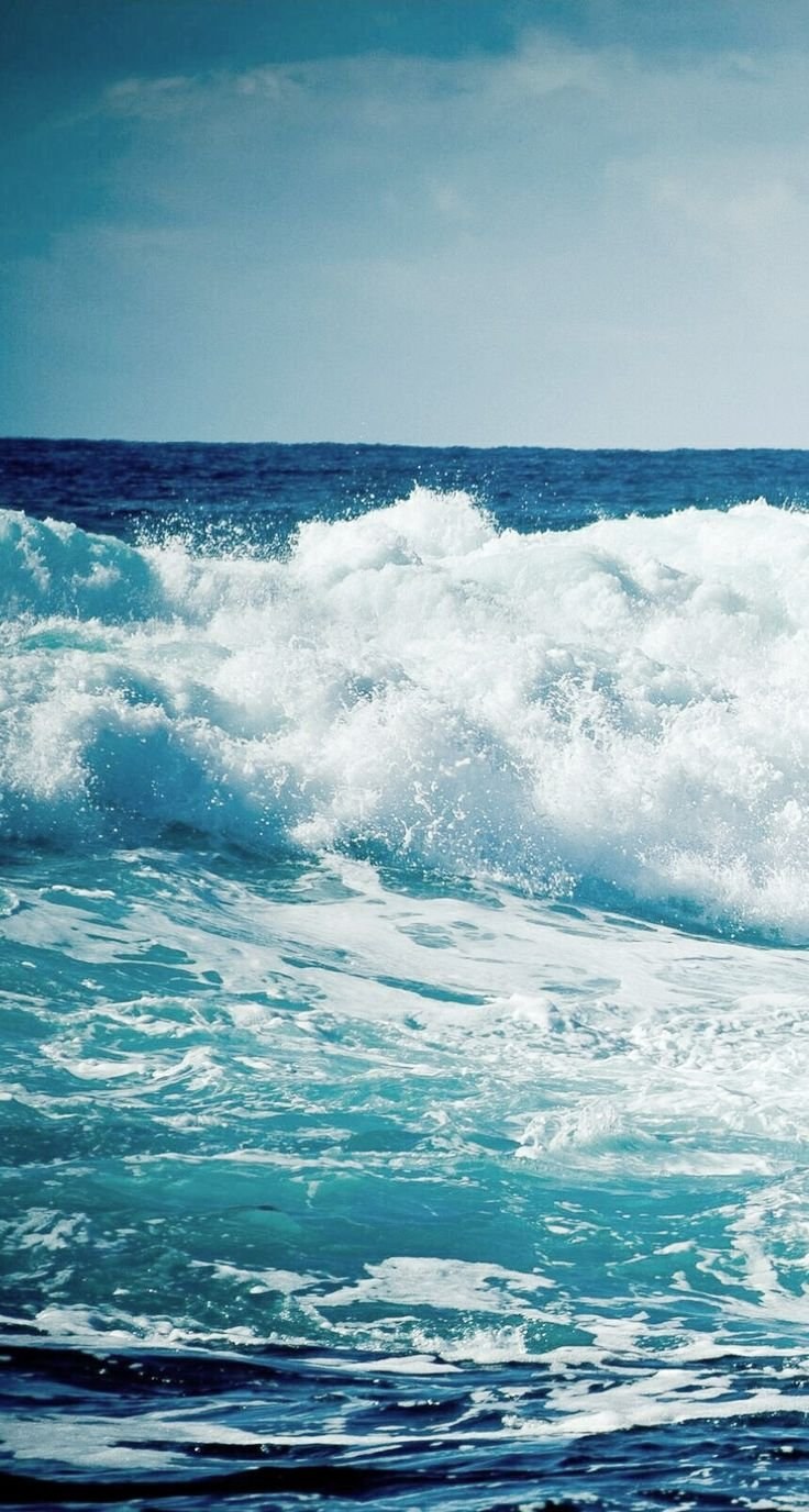 Тропический берег