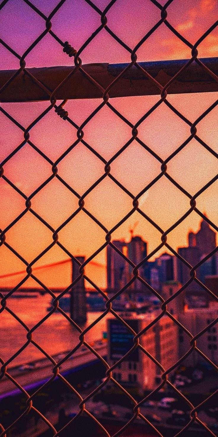 Клетка Эстетика