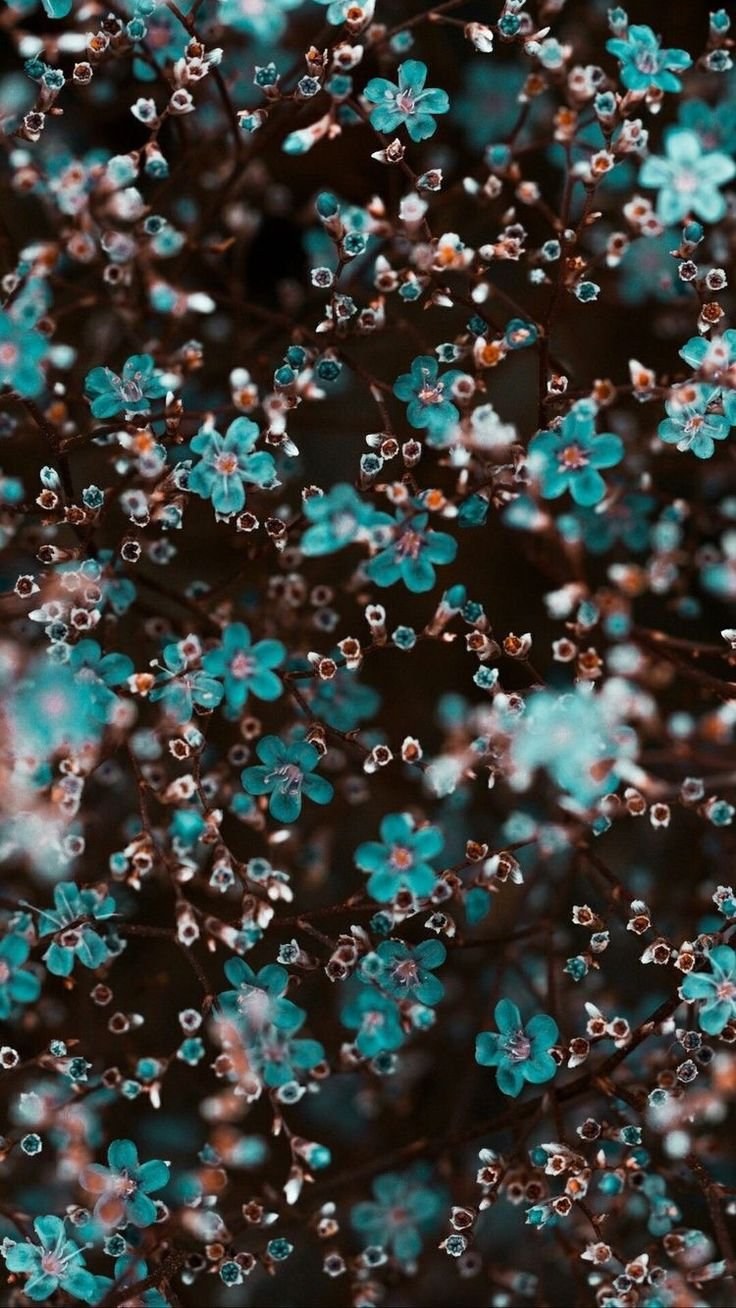 Бирюзовые цветы