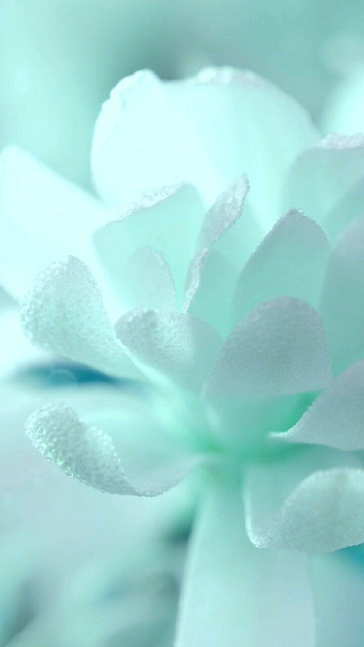 Нежный бирюзовый цвет