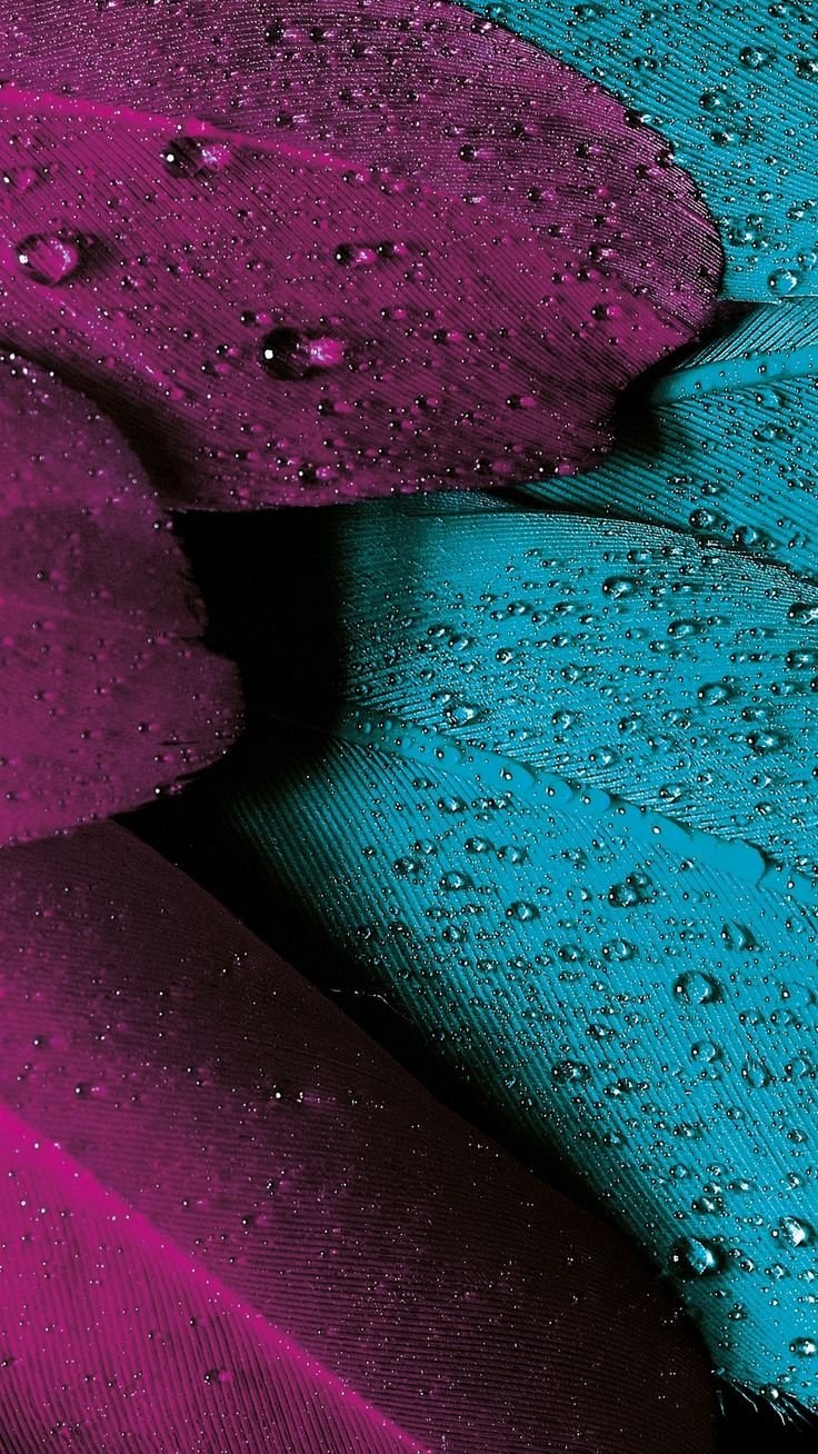 Обои Sony Xperia z5