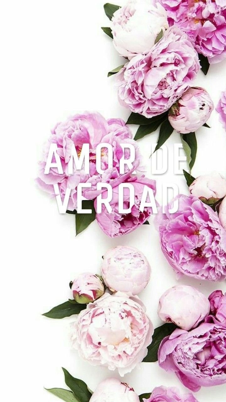 Пионы на телефон