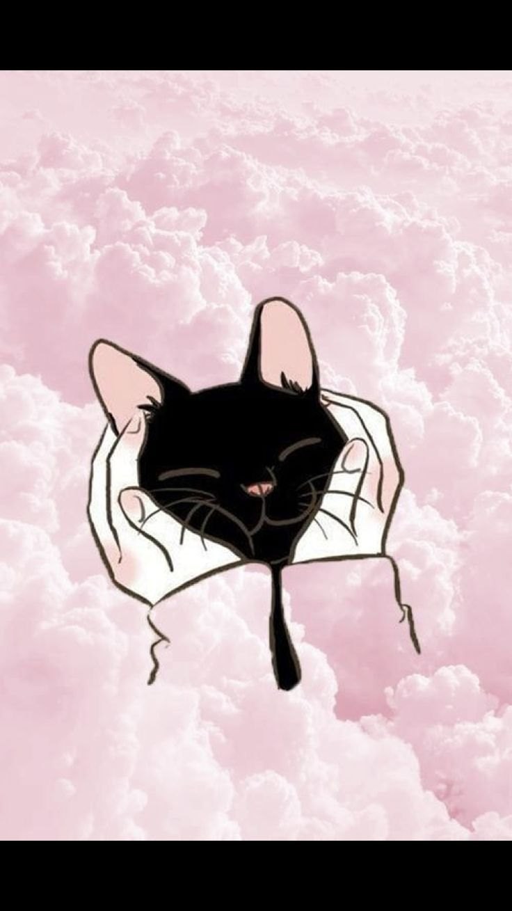 Обои на ноутбук Пинтерест котики