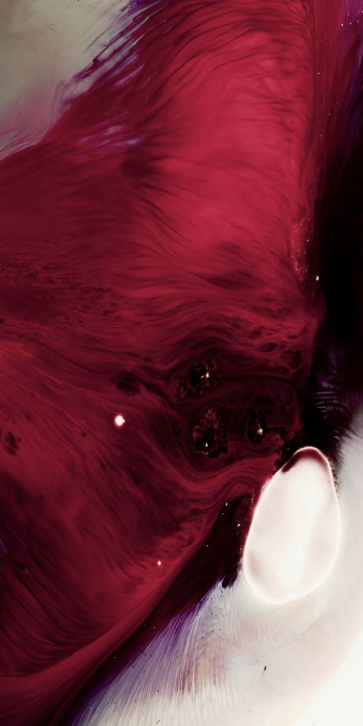 Обои на айфон 12 бордовые