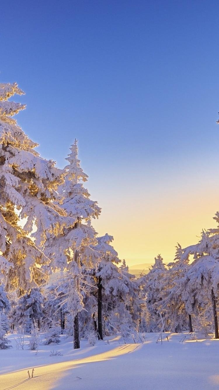 Зима пейзаж