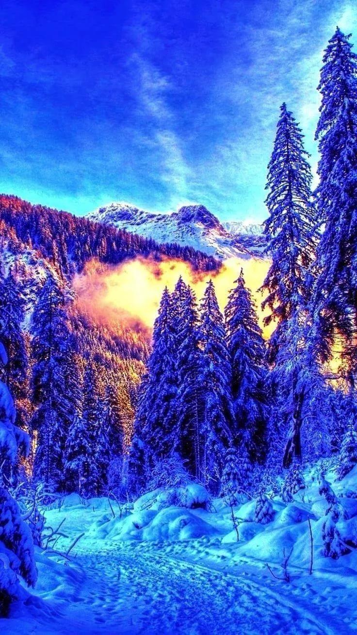 Уинтер Аляска