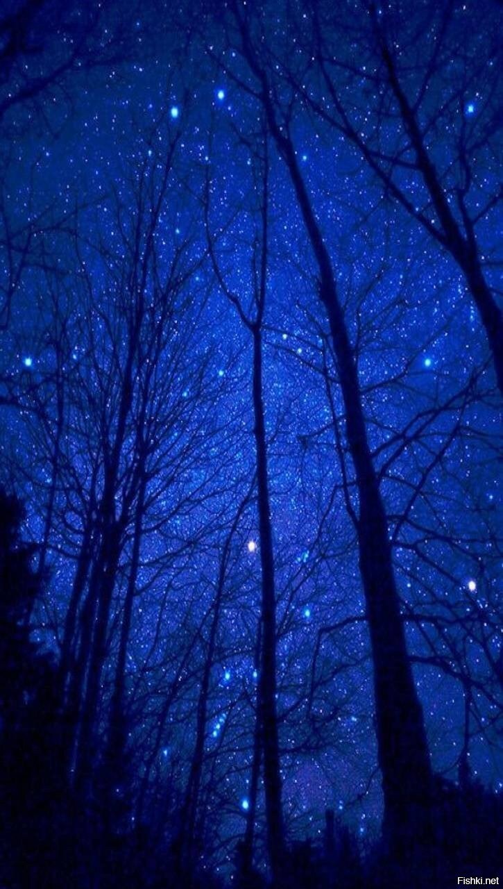 Ночное поле