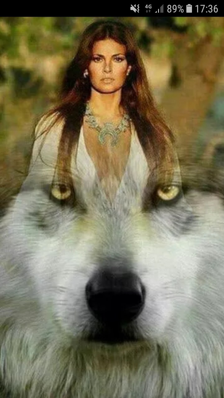 Образ волчицы