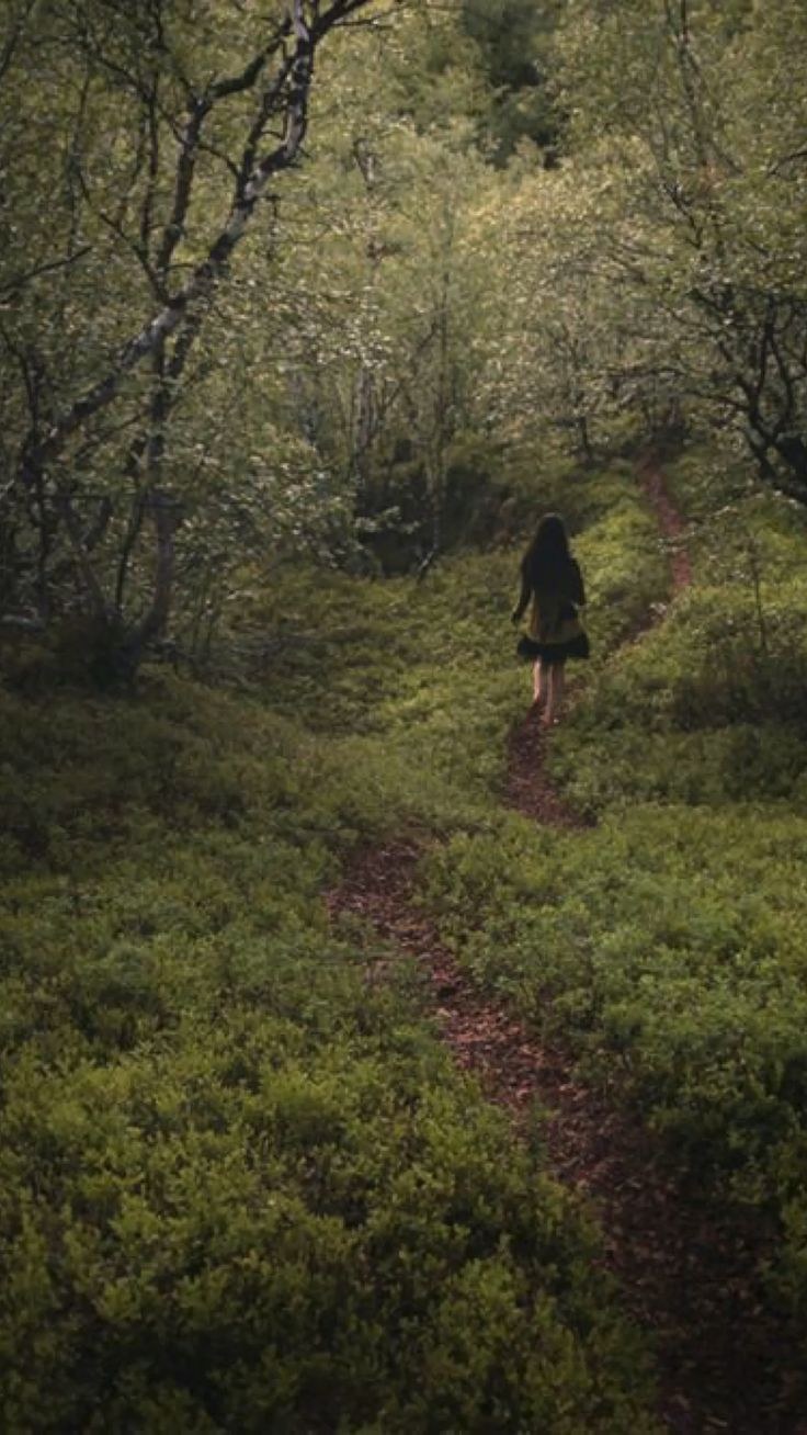 Эстетика одиночества лес