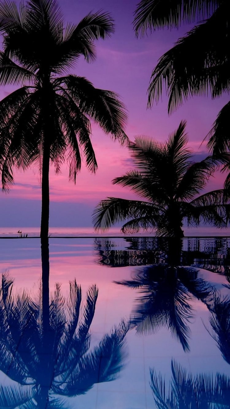 Пейзаж с пальмами