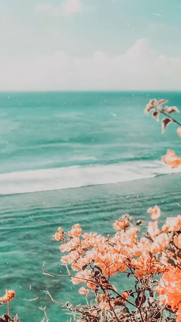 Лето Эстетика вертикальные