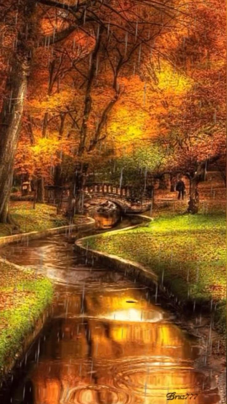 Осенний пейзаж живой