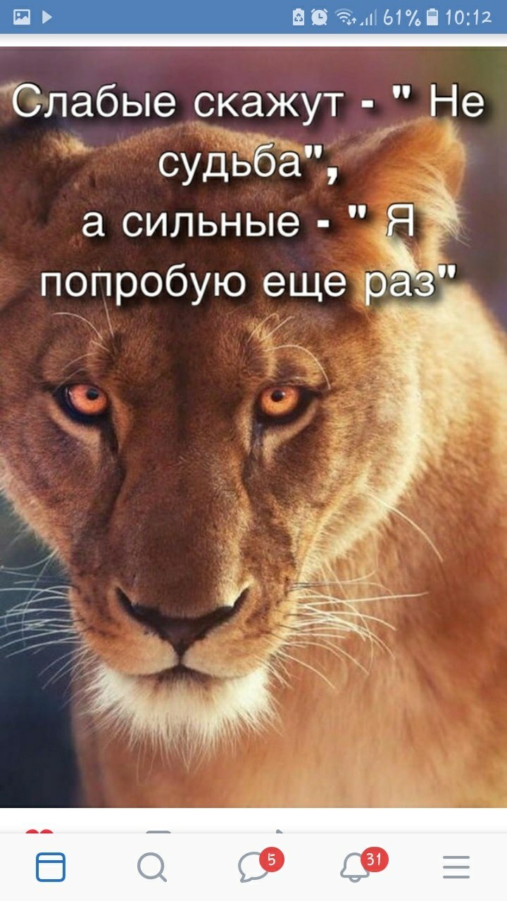 Львенок и человек