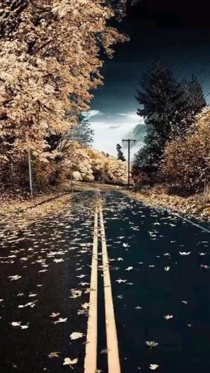 Экраны на дороге